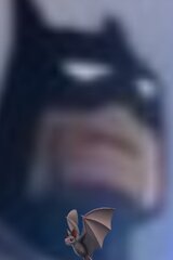 Damik