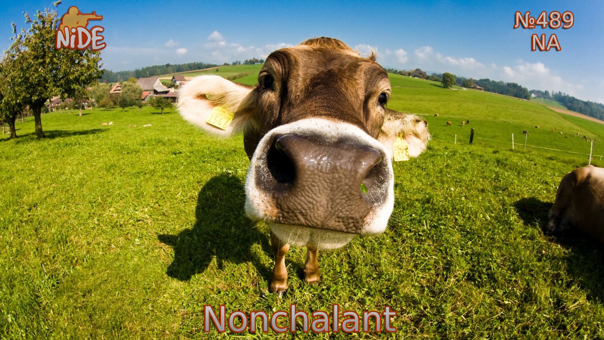 More information about "CS:S ZE Event #489 - Nonchalant"